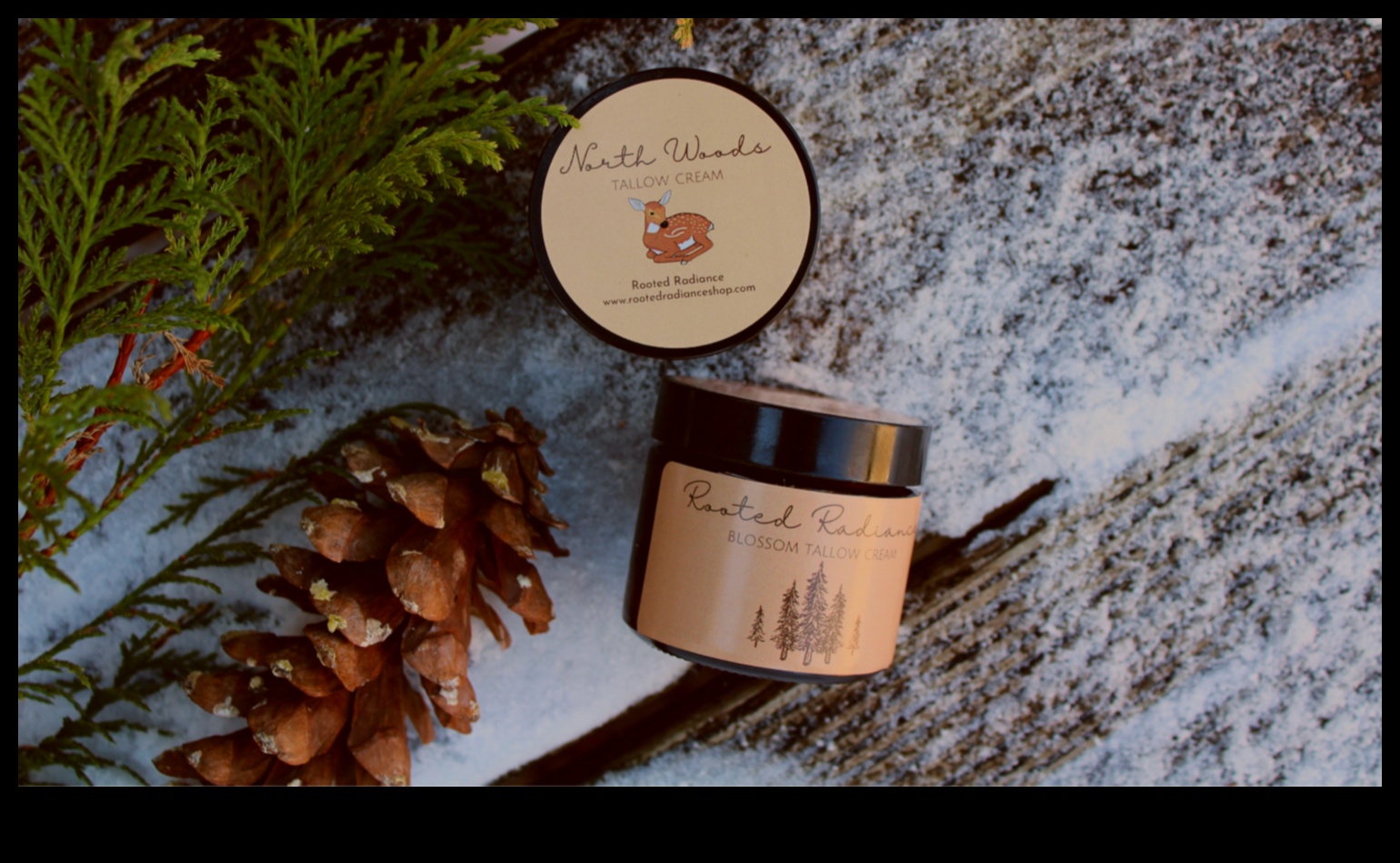 Rooted Radiance Dezvăluirea secretelor strălucirii grădinii 4 Rooted Radiance: Dezvăluirea secretelor strălucirii grădinii