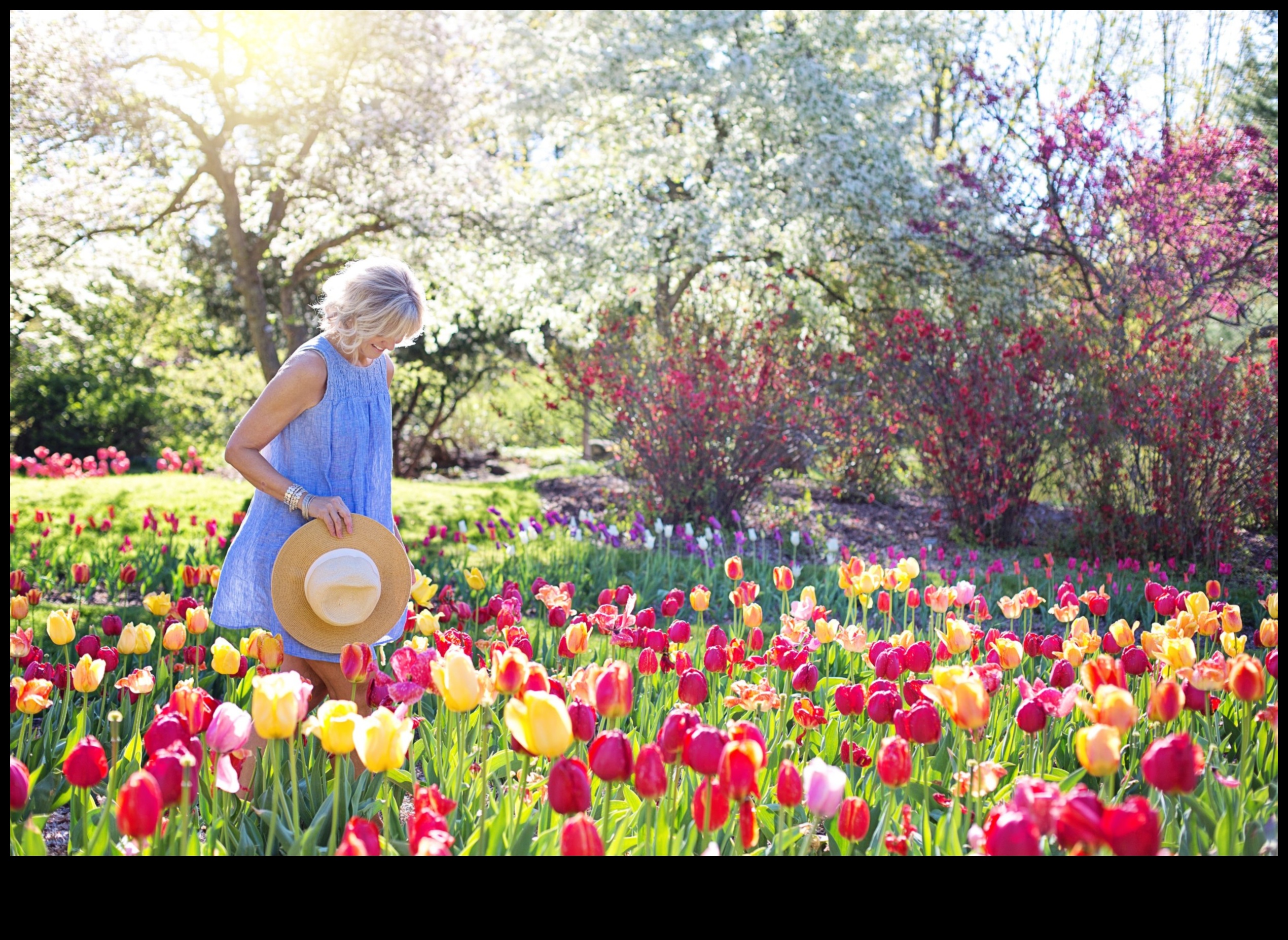 Garden Whispers: secrete de bricolaj pentru un spațiu frumos