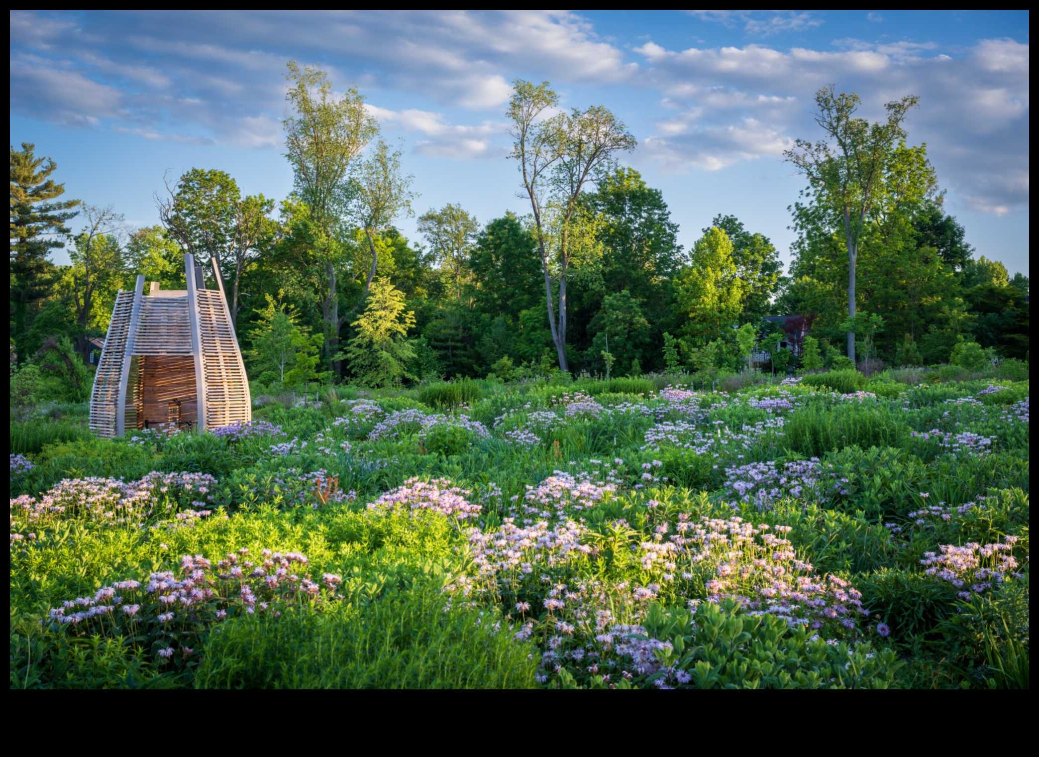 Mințile botanice: înflorind cu educația în grădină