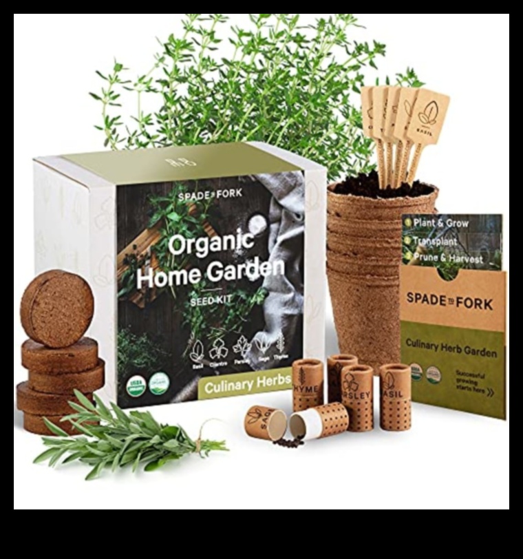 Cadouri ale tale durabile care îmbrățișează viața prietenoasă cu Pământul 5 Sustainably Yours: cadouri care îmbrățișează viața prietenoasă cu Pământul