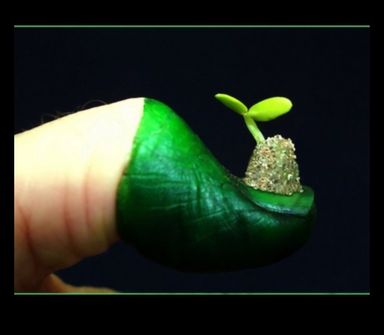 Green Thumb Chronicles: Povestiri despre horticultură dezvăluite