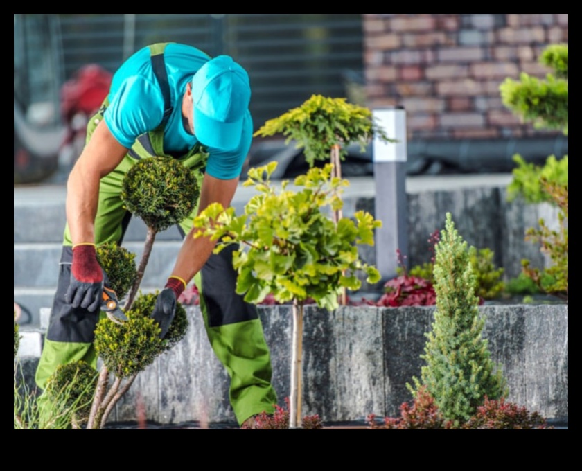 Bloom with Bliss: Unelte esențiale de grădină dezvăluite