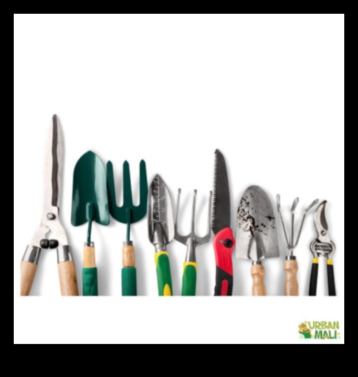 Hrănirea naturii: instrumentele de grădină indispensabile dezvăluite