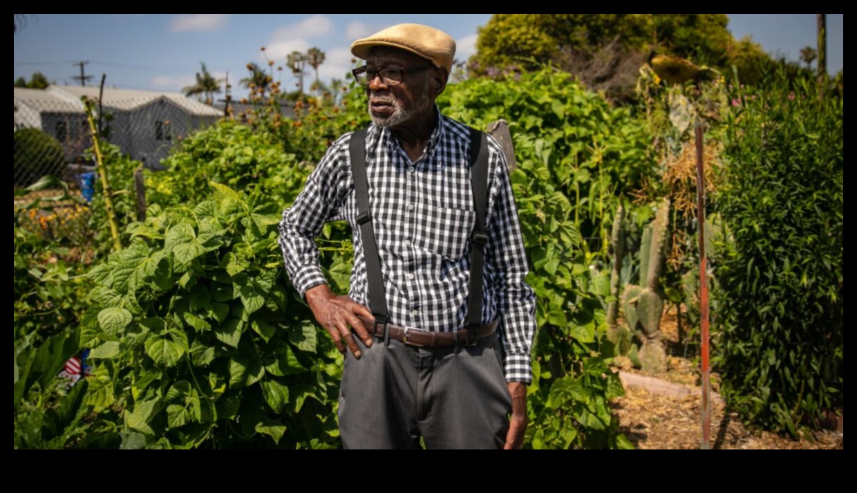 Blossoms in the Boroughs: Urban Gardening Marvels