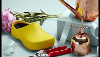 Bloom with Bliss: Unelte esențiale de grădină dezvăluite