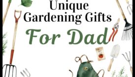 Hrănitorul naturii: cadouri de grădinărit pentru Valentine cu degetul mare