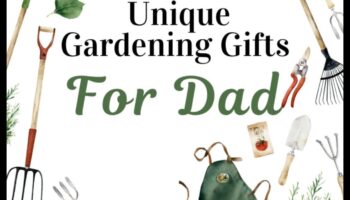 Hrănitorul naturii: cadouri de grădinărit pentru Valentine cu degetul mare