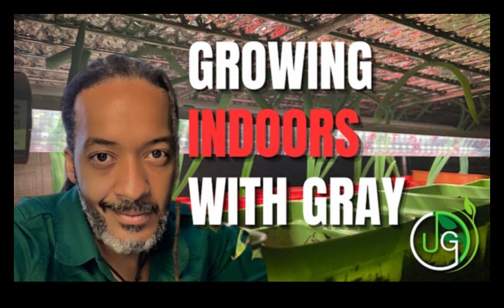 Green Thumb Chronicles: Povestiri despre horticultură dezvăluite