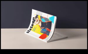 De la pixeli la imprimare: manualul designerului grafic