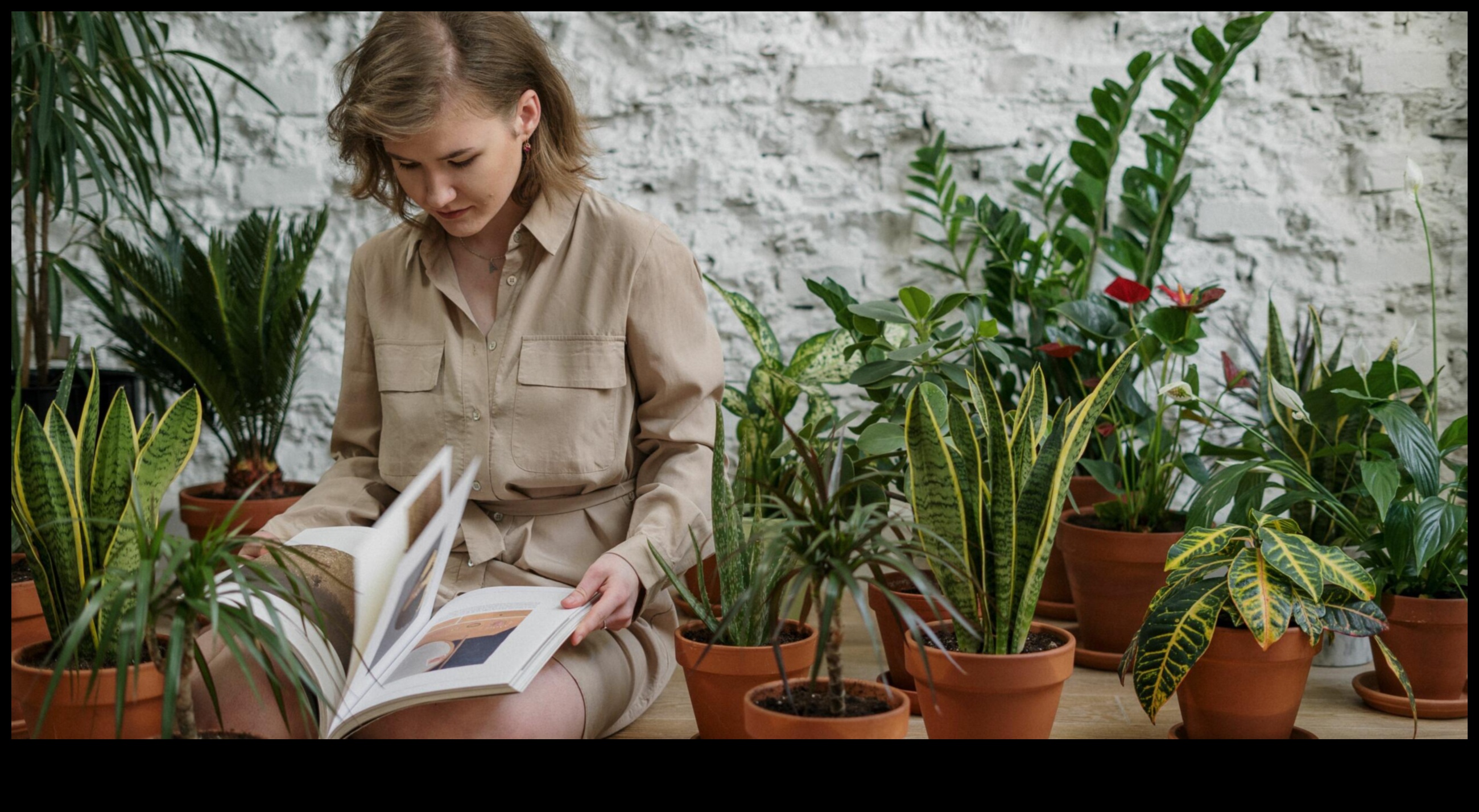 Oaza verde: Descoperirea liniștii în atelierele de grădină