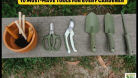 Hrănirea naturii: instrumentele de grădină indispensabile dezvăluite