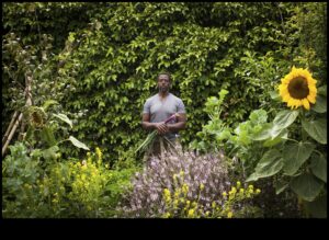 Blossoms in the Boroughs: Urban Gardening Marvels