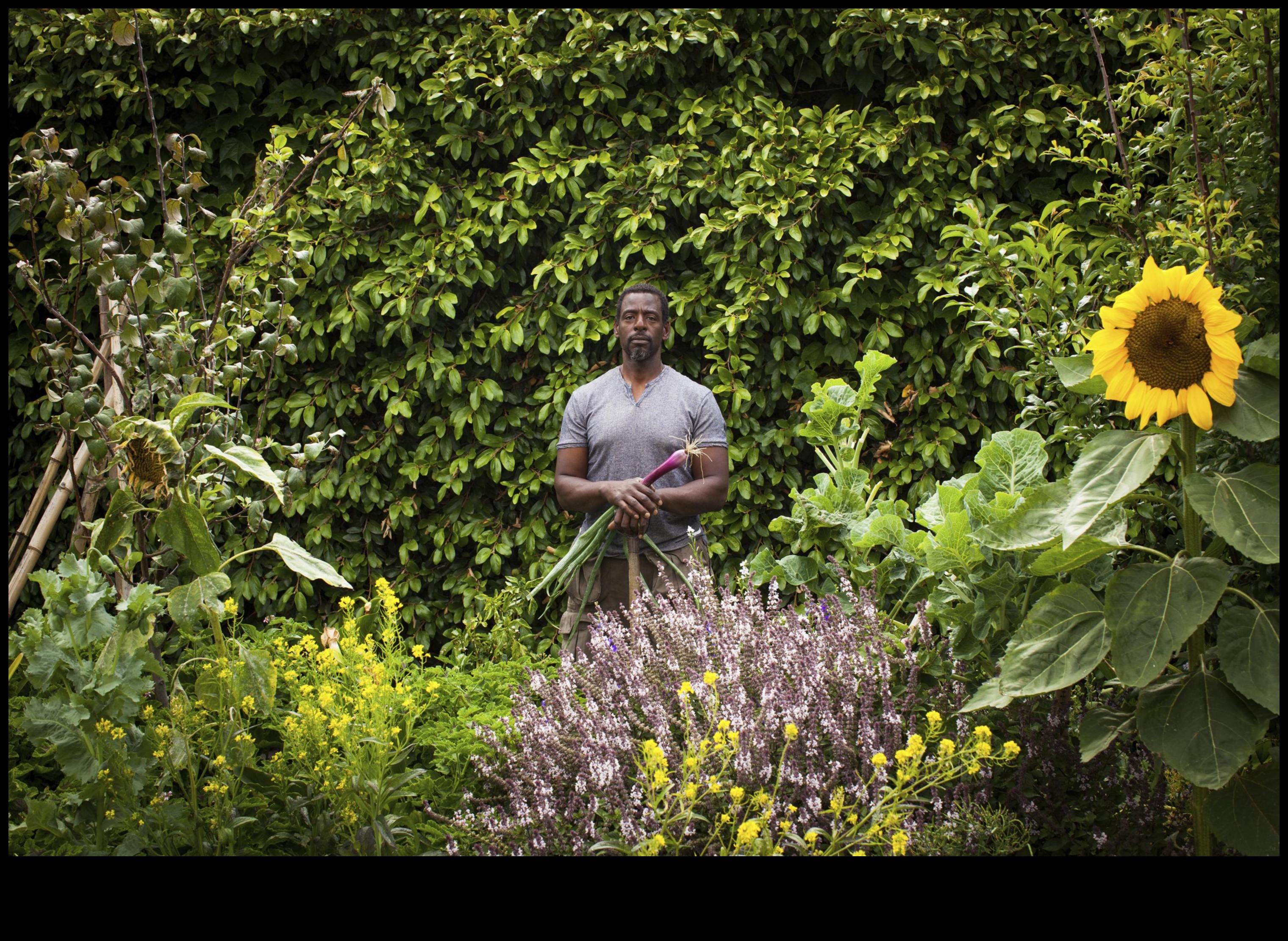 Blossoms in the Boroughs: Urban Gardening Marvels