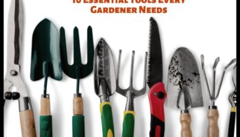 Înrădăcinat în succes: instrumente esențiale de grădină definite
