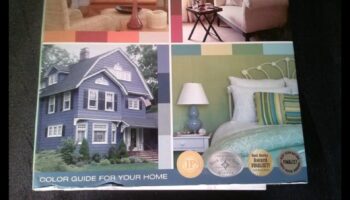 Cum influențează diferitele scheme de culori conceptele de decorare?